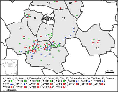 Long Term Management of Rhizomania Disease—Insight Into the Changes of the Beet necrotic yellow vein virus RNA-3 Observed Under Resistant and Non-resistant Sugar Beet Fields